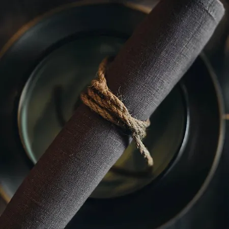 Schoenherr Haus מלון 4*