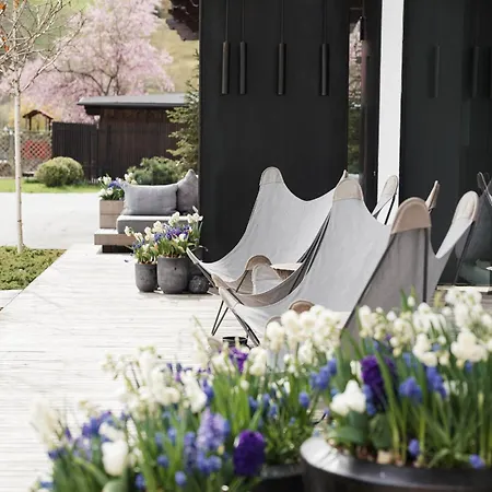 Schoenherr Haus 호텔 4*