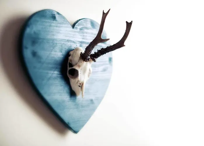 מלון Schoenherr Haus ניוסטיפט אים סטובאיטל