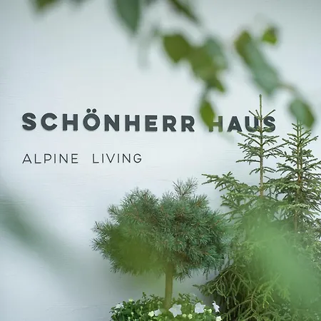 Schoenherr Haus 호텔